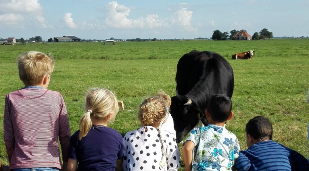 Buiten kijken bij de koeien met BSO De Stadshoeve