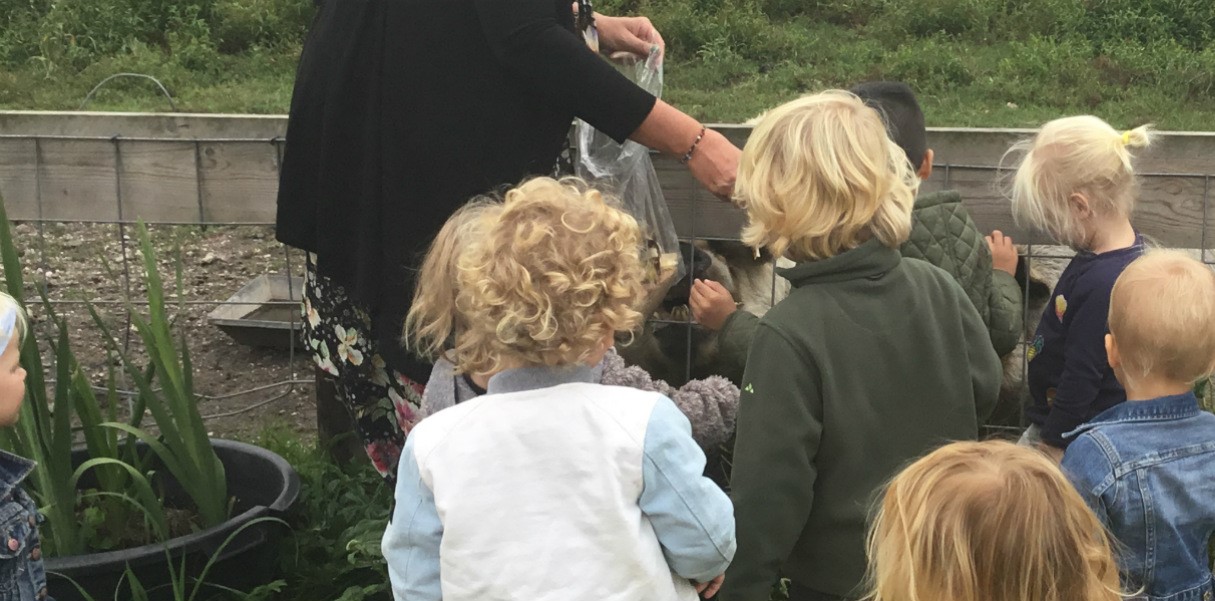 Dieren voeren bij BSO De Stadshoeve