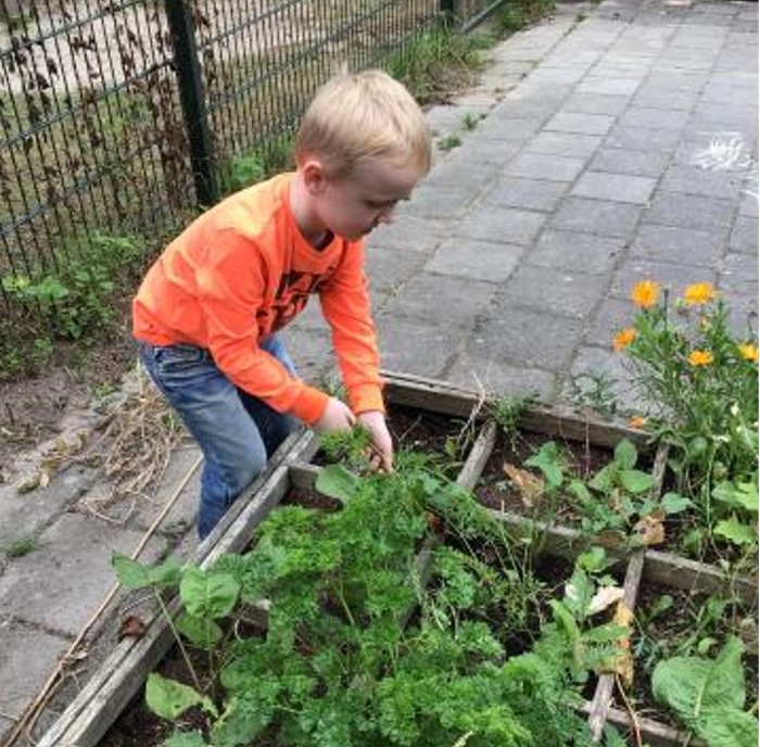 Buiten werken in de moestuin bij kinderopvang Het Schatrijk.