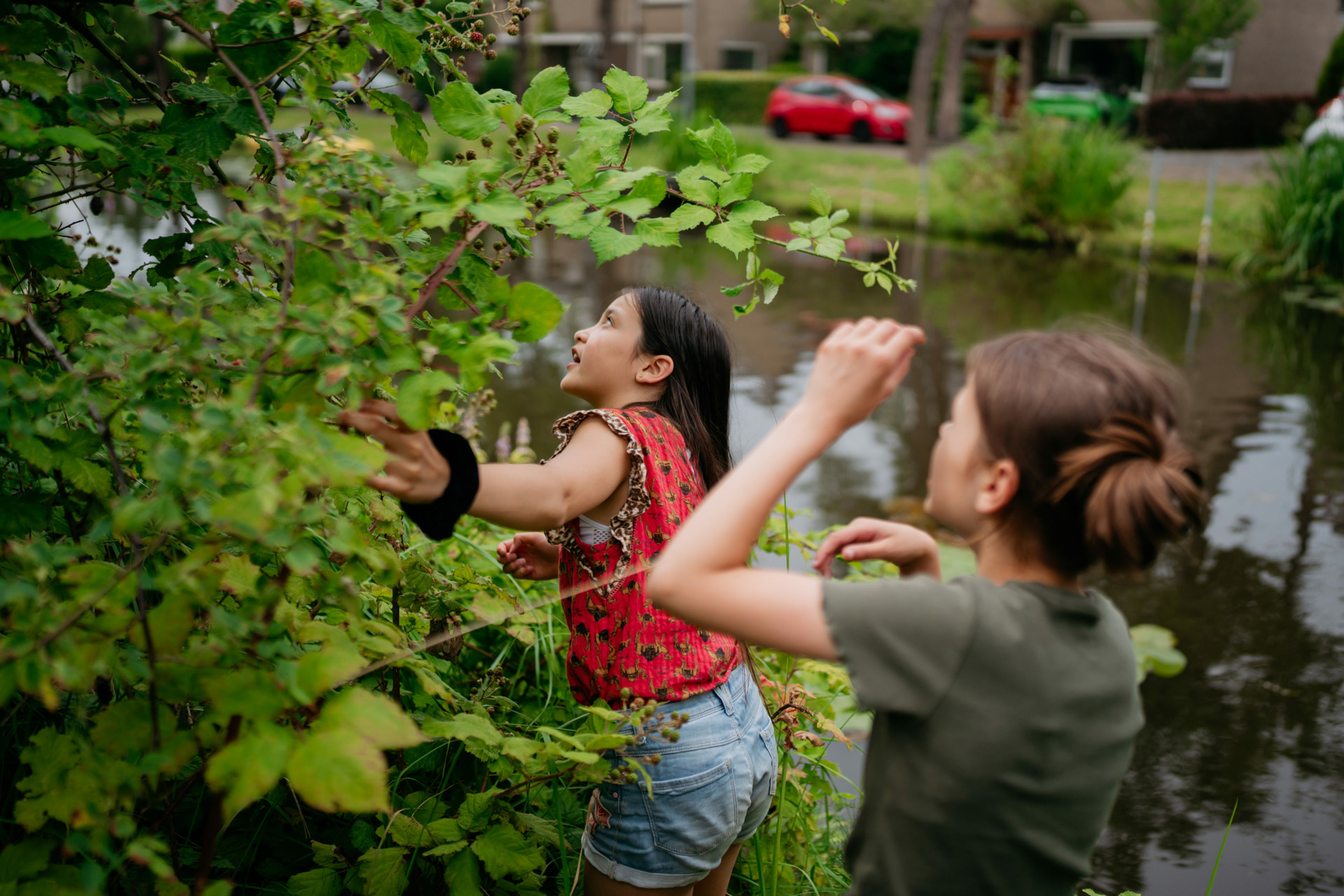 TintelTuin-19 Groei, geniet en leer bij TintelTuin.
